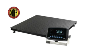 Platform Scales