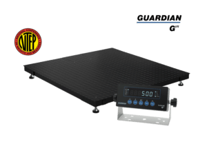 Transcell Guardian Lite industrial floor scale with G-500E indicator and IP67 junction box