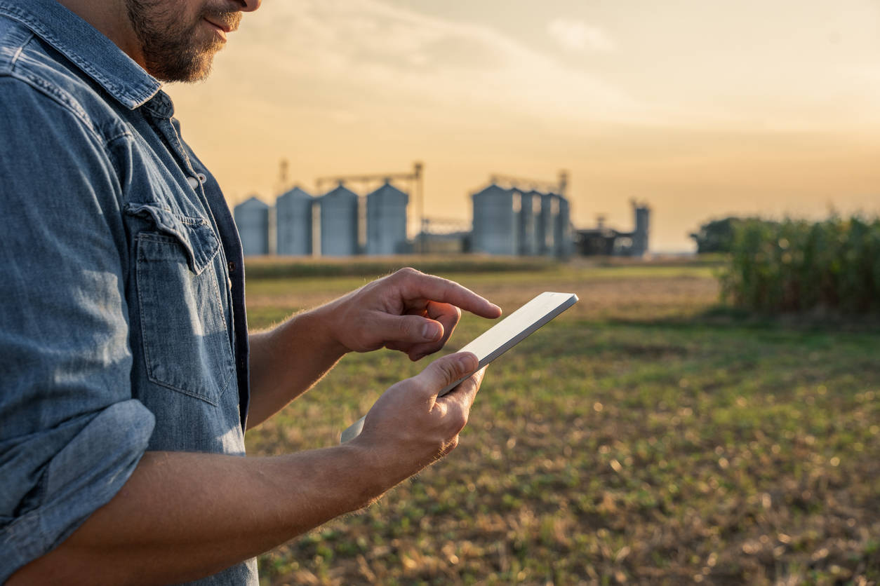 Farmer reviews silo inventory