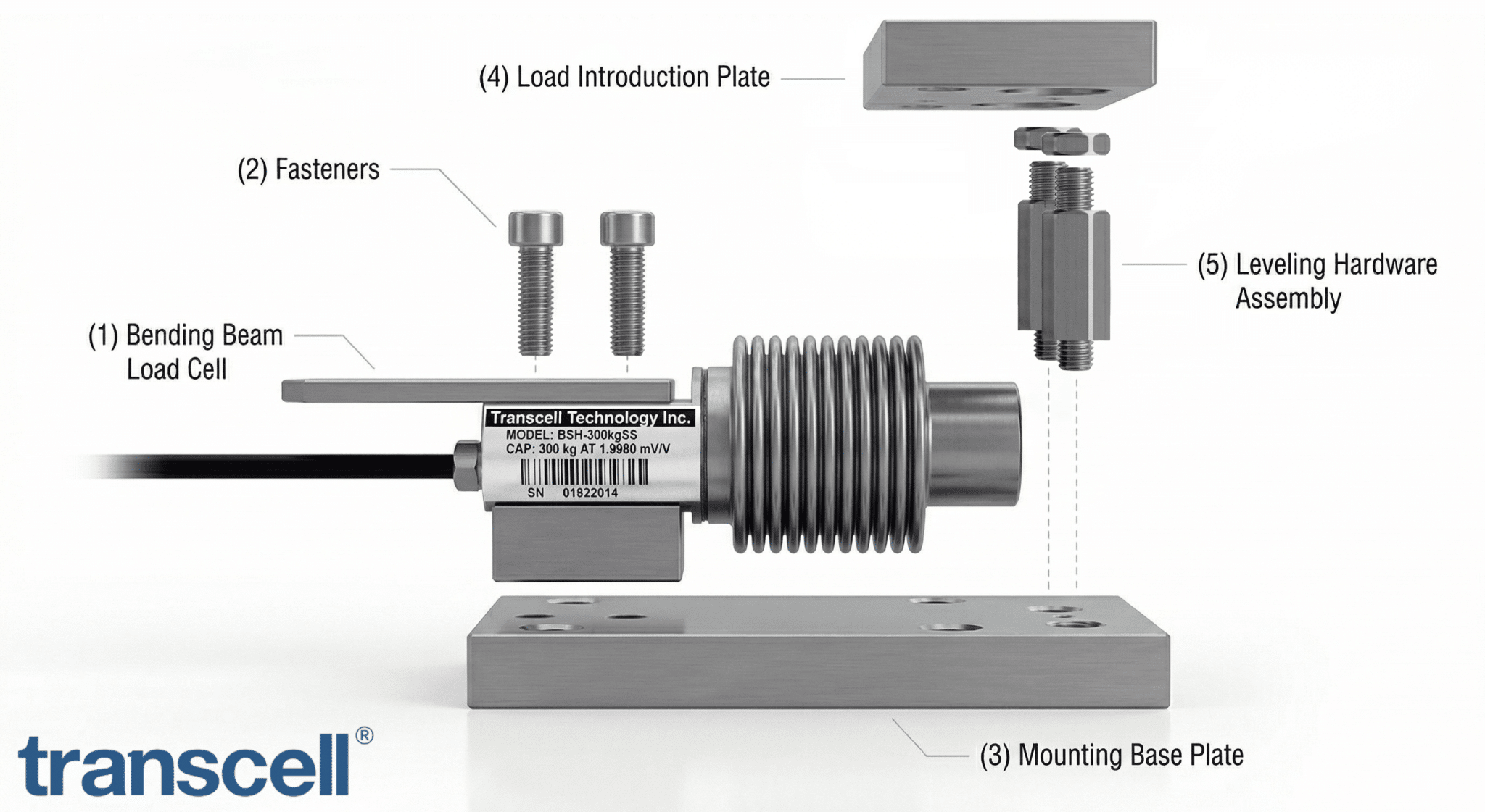 Weighing Modules | BSH & DBS Series | Transcell